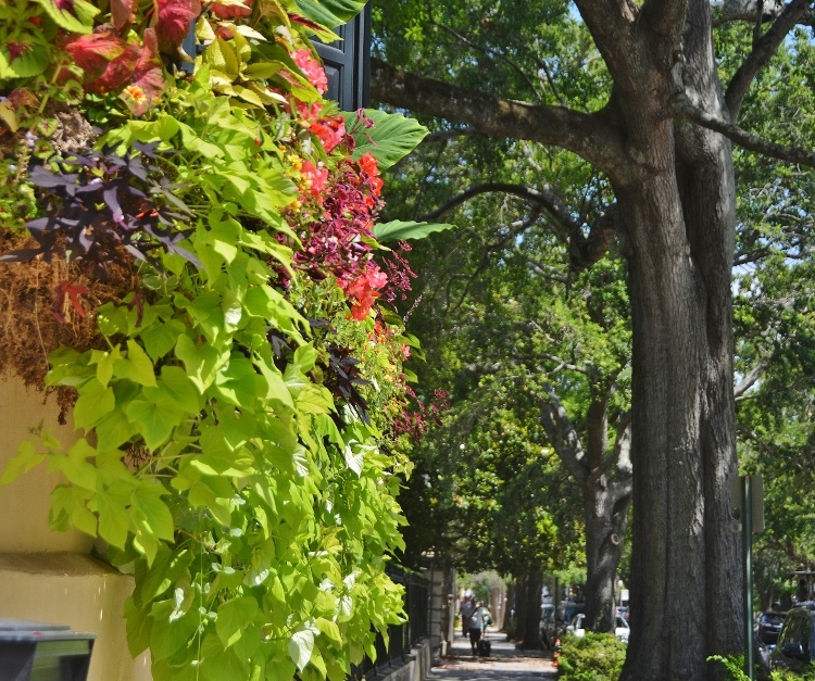 charleston residential